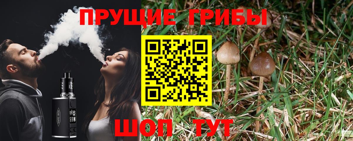 Псилоцибиновые грибы мухоморы Саратов