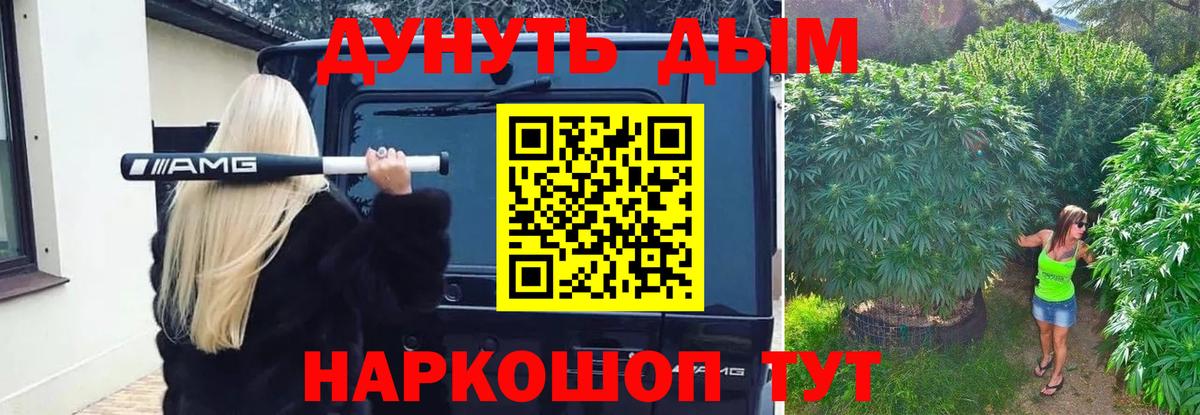 Канабис сатива Саратов